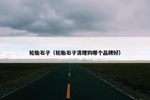 轮胎石子（轮胎石子清理钩哪个品牌好）