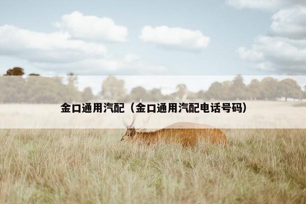 金口通用汽配（金口通用汽配电话号码）