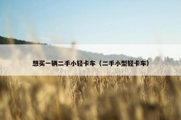 想买一辆二手小轻卡车（二手小型轻卡车）
