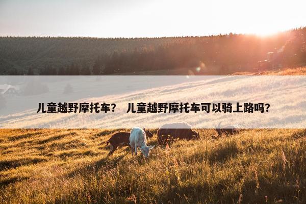 儿童越野摩托车？ 儿童越野摩托车可以骑上路吗？
