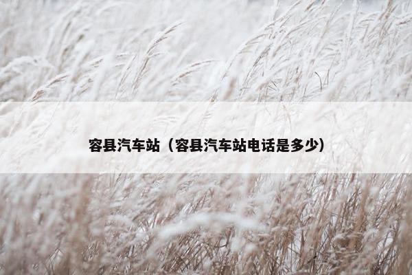 容县汽车站（容县汽车站电话是多少）