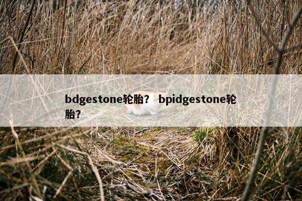 bdgestone轮胎？ bpidgestone轮胎？