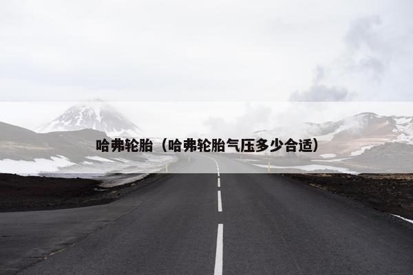 哈弗轮胎（哈弗轮胎气压多少合适）