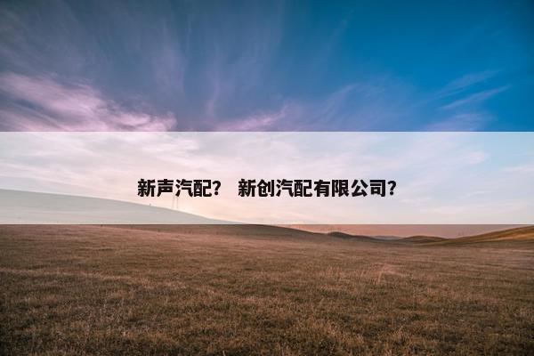新声汽配？ 新创汽配有限公司？