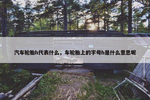 汽车轮胎h代表什么，车轮胎上的字母h是什么意思呢