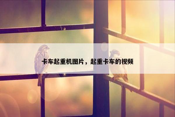 卡车起重机图片，起重卡车的视频