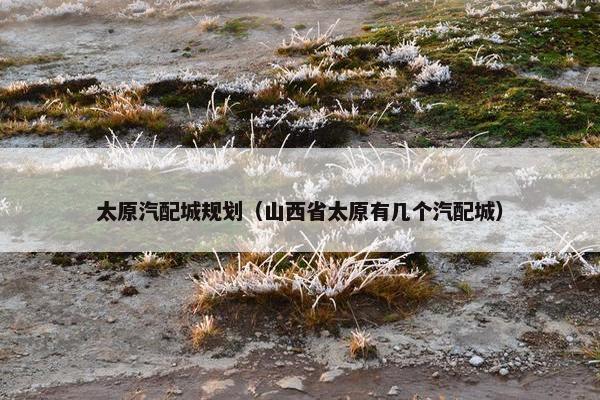 太原汽配城规划（山西省太原有几个汽配城）