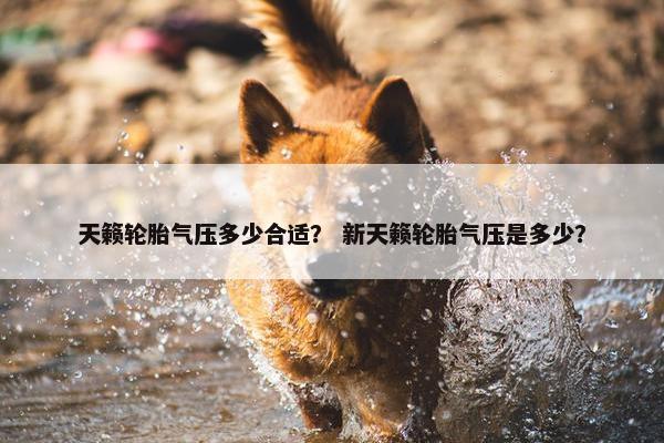 天籁轮胎气压多少合适？ 新天籁轮胎气压是多少？