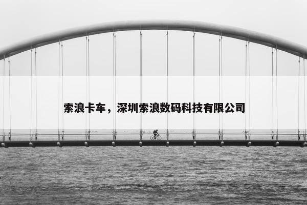 索浪卡车，深圳索浪数码科技有限公司