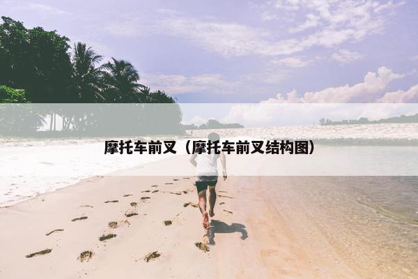 摩托车前叉（摩托车前叉结构图）