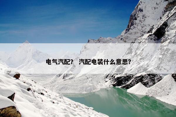 电气汽配？ 汽配电装什么意思？