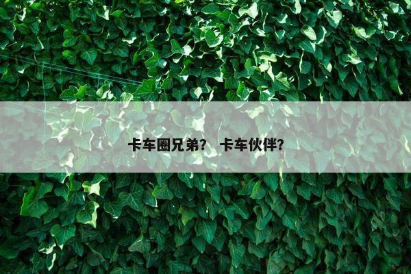 卡车圈兄弟？ 卡车伙伴？
