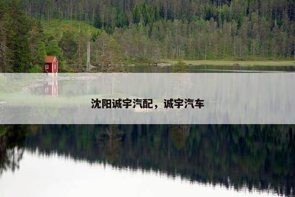 沈阳诚宇汽配，诚宇汽车