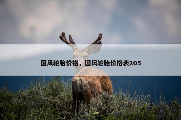 国风轮胎价格，国风轮胎价格表205