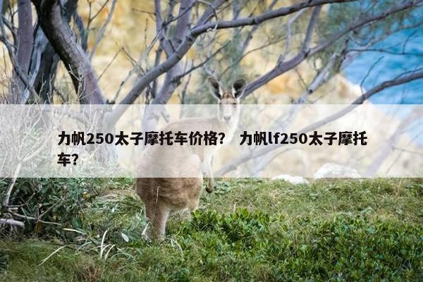 力帆250太子摩托车价格？ 力帆lf250太子摩托车？
