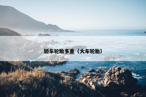 轿车轮胎多重（大车轮胎）