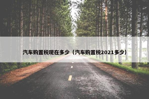 汽车购置税现在多少（汽车购置税2021多少）