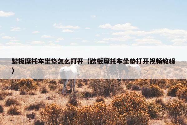 踏板摩托车坐垫怎么打开（踏板摩托车坐垫打开视频教程）