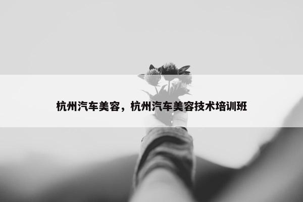 杭州汽车美容，杭州汽车美容技术培训班