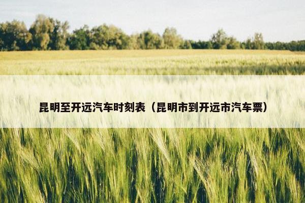 昆明至开远汽车时刻表（昆明市到开远市汽车票）