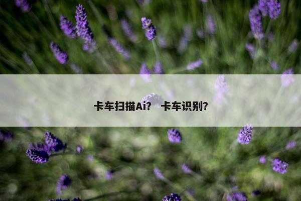 卡车扫描Ai？ 卡车识别？