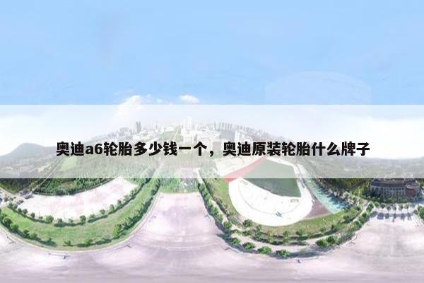 奥迪a6轮胎多少钱一个，奥迪原装轮胎什么牌子