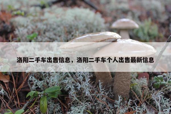 洛阳二手车出售信息，洛阳二手车个人出售最新信息