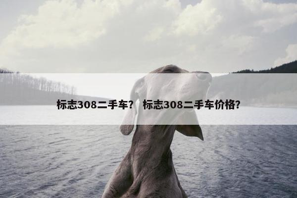 标志308二手车？ 标志308二手车价格？