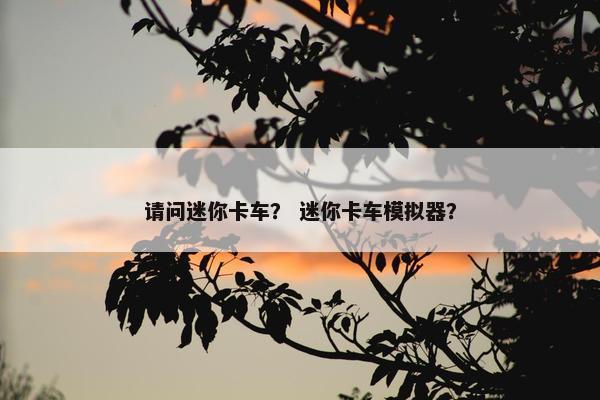 请问迷你卡车？ 迷你卡车模拟器？