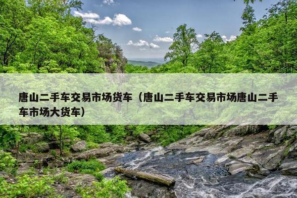 唐山二手车交易市场货车（唐山二手车交易市场唐山二手车市场大货车）