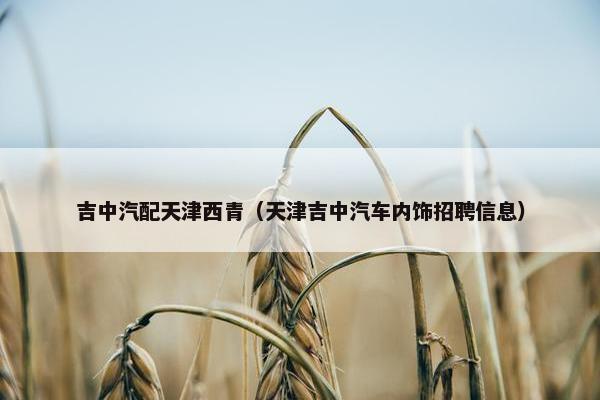 吉中汽配天津西青（天津吉中汽车内饰招聘信息）