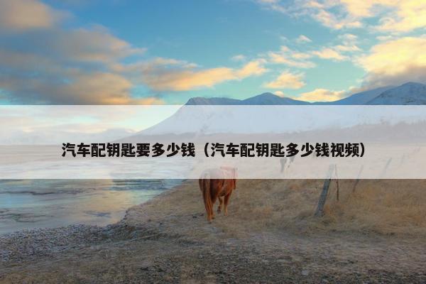 汽车配钥匙要多少钱（汽车配钥匙多少钱视频）