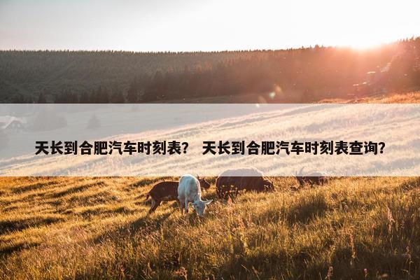 天长到合肥汽车时刻表？ 天长到合肥汽车时刻表查询？