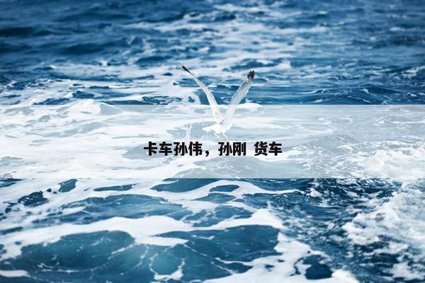 卡车孙伟，孙刚 货车