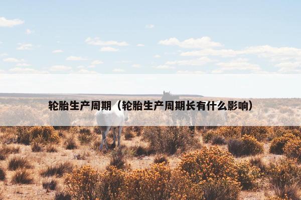 轮胎生产周期（轮胎生产周期长有什么影响）