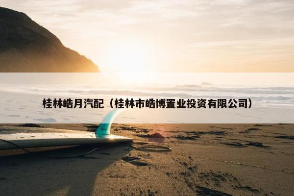 桂林皓月汽配（桂林市皓博置业投资有限公司）