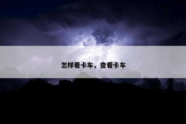 怎样看卡车，查看卡车