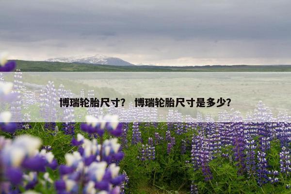 博瑞轮胎尺寸？ 博瑞轮胎尺寸是多少？