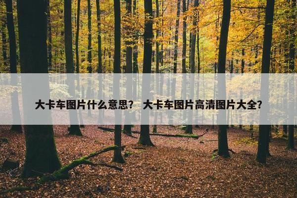 大卡车图片什么意思？ 大卡车图片高清图片大全？