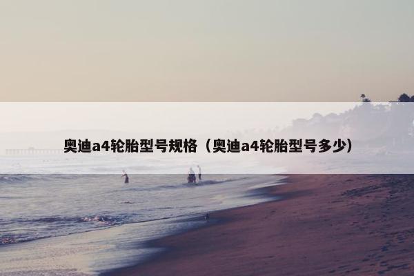 奥迪a4轮胎型号规格（奥迪a4轮胎型号多少）