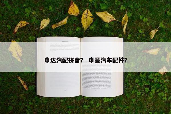 申达汽配拼音？ 申呈汽车配件？