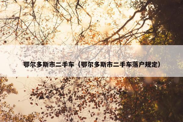 鄂尔多斯市二手车（鄂尔多斯市二手车落户规定）