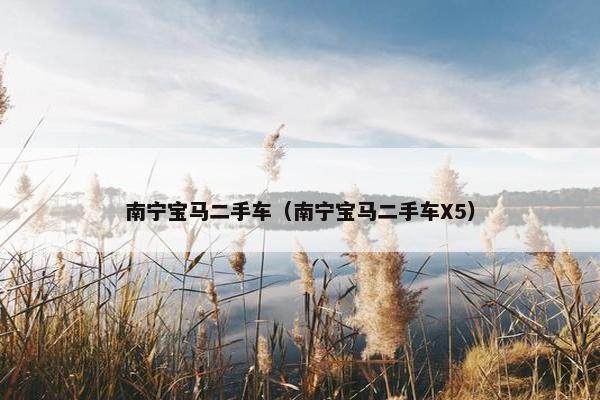 南宁宝马二手车（南宁宝马二手车X5）