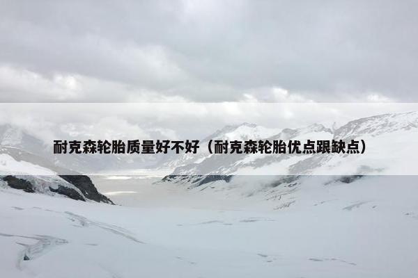 耐克森轮胎质量好不好（耐克森轮胎优点跟缺点）