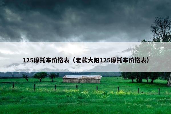 125摩托车价格表（老款大阳125摩托车价格表）