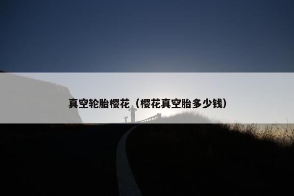 真空轮胎樱花（樱花真空胎多少钱）