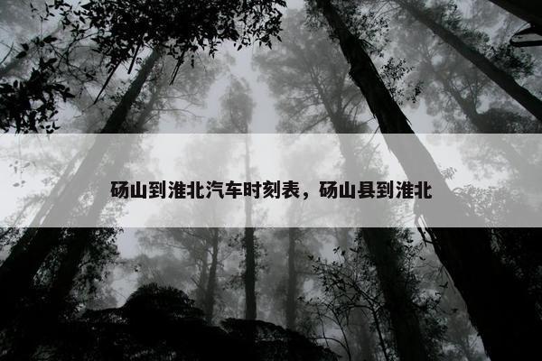 砀山到淮北汽车时刻表，砀山县到淮北