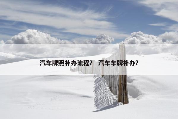 汽车牌照补办流程？ 汽车车牌补办？
