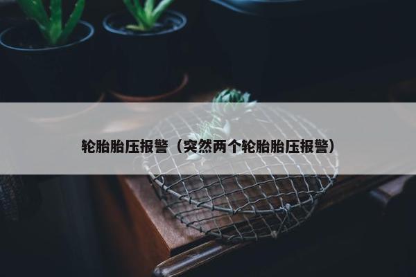轮胎胎压报警（突然两个轮胎胎压报警）