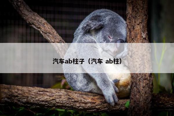 汽车ab柱子（汽车 ab柱）